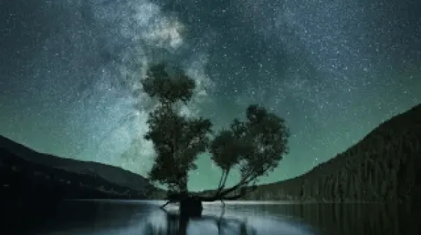 LM_Website_Events_Appearances_Jungian Approach to Understanding Dreams